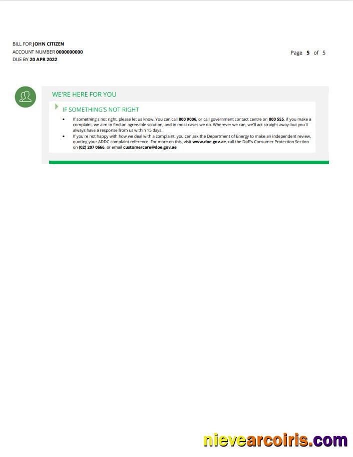 UAE Dubai Al Ain Distribution Co utility bill 5 pages 5